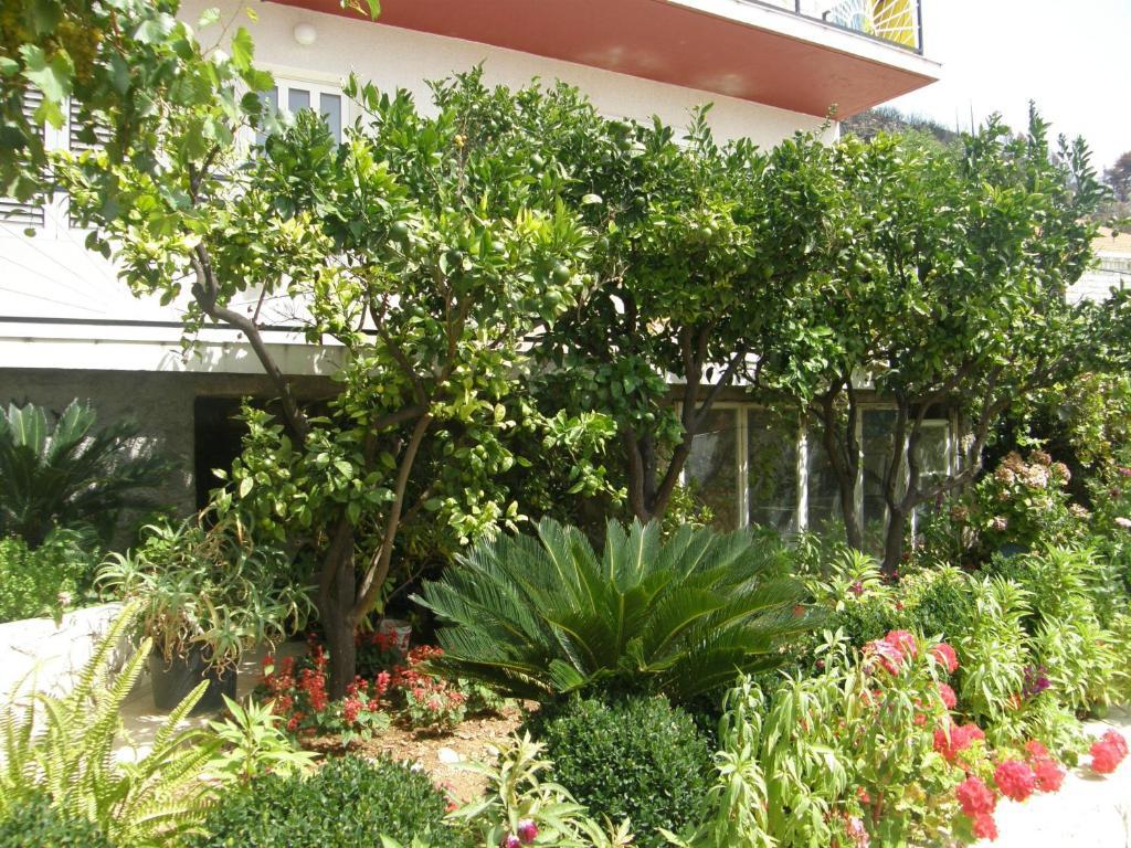 Apartments Lonza Mlini Zewnętrze zdjęcie